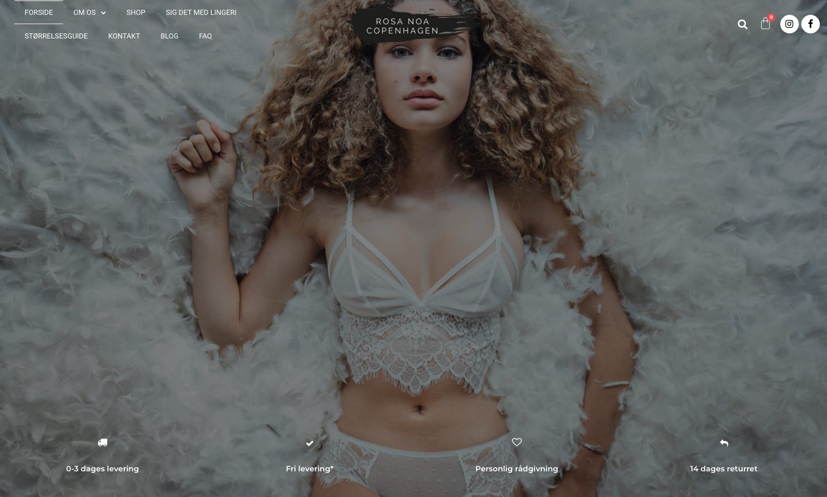 B2C webshop med salg af sexet og behageligt kvalitetssikret lingeri